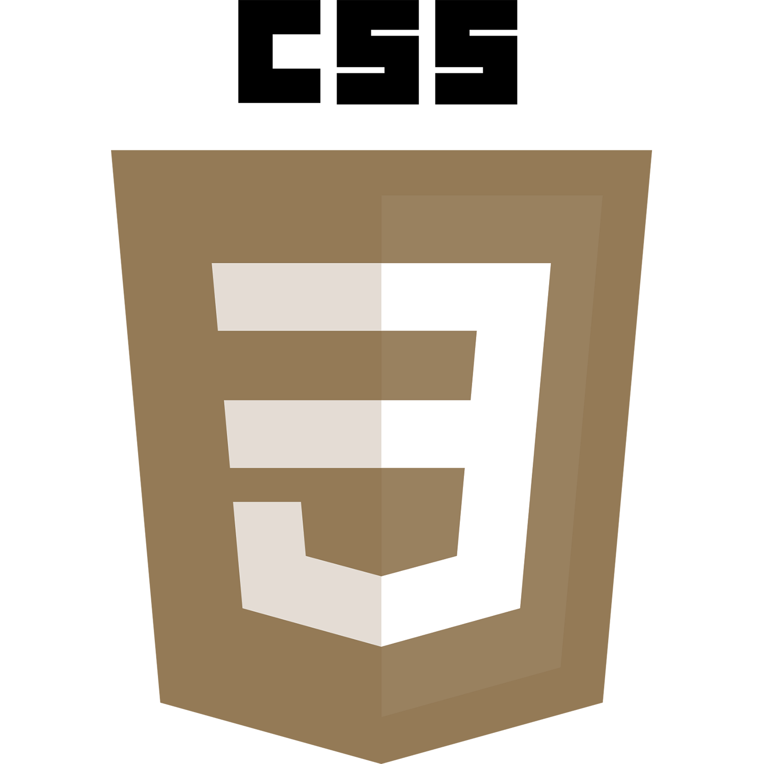 CSS logo